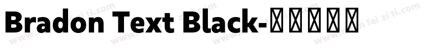Bradon Text Black字体转换